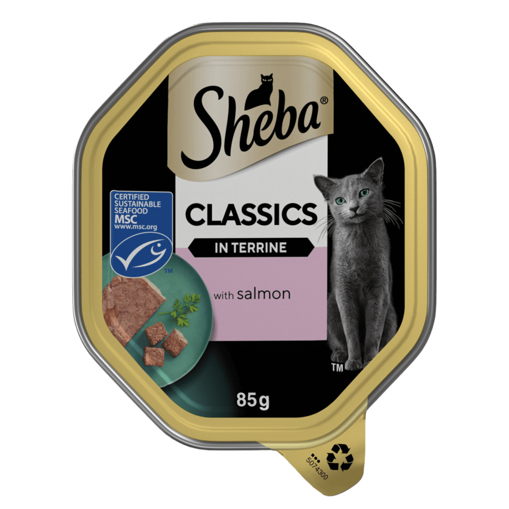 Sheba Classics Tray Salmon in Terrine 22x85g