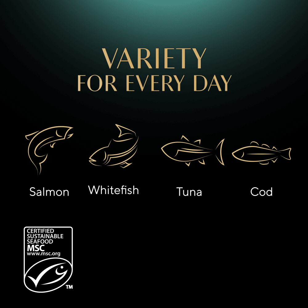 Sheba Sauce Collection Fish Selection in Gravy 40x85g