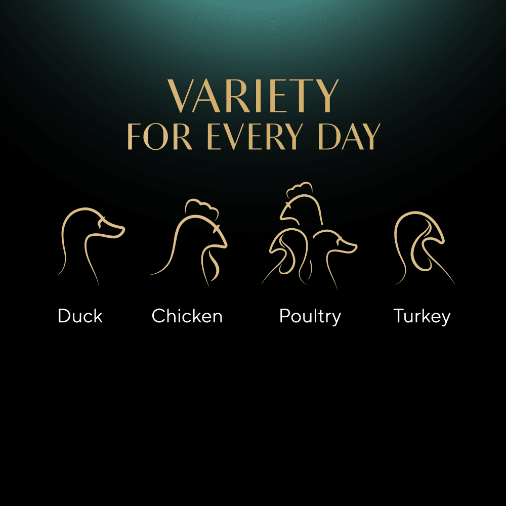 Sheba Sauce Collection Poultry in Gravy 48x85g